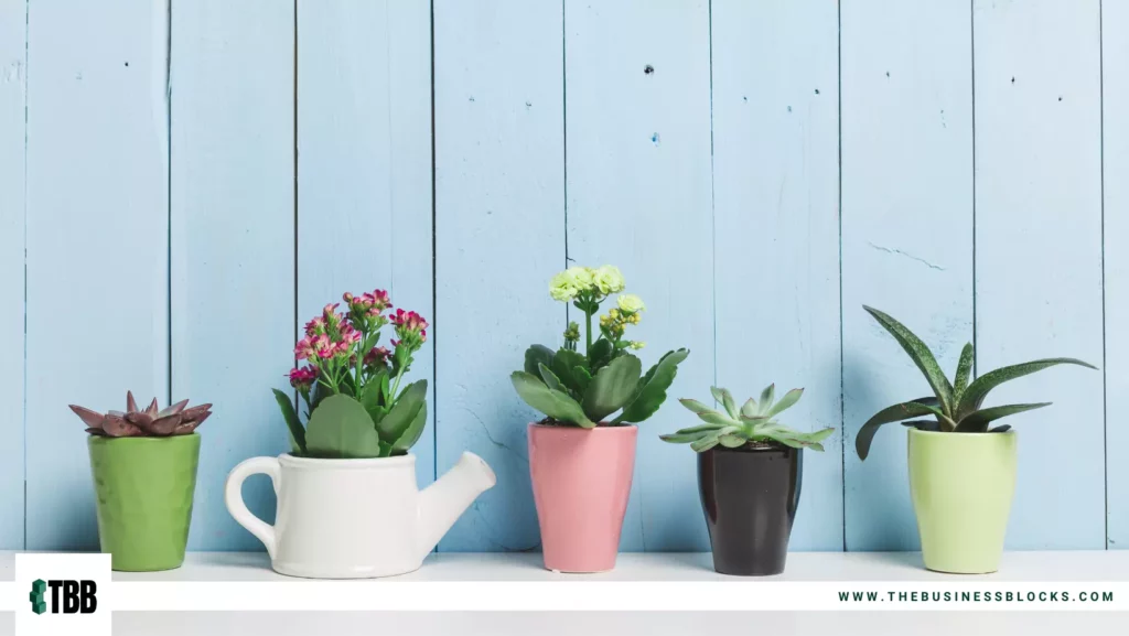 Summer Gift Ideas for Employees - Cute succulent plants