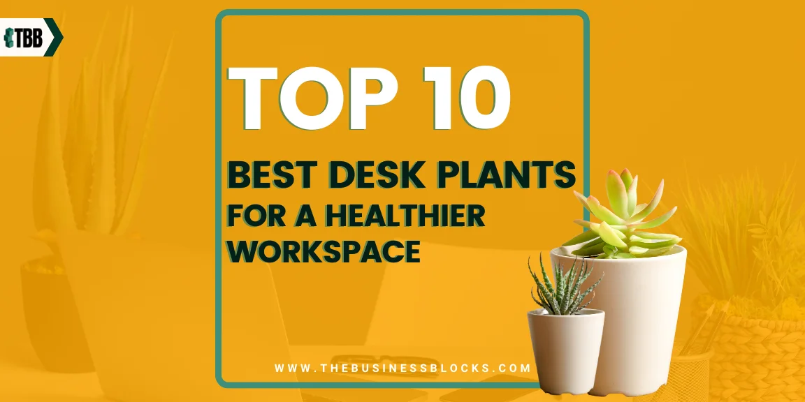 Top 10 Best Desk Plants for a Healthier Workspace